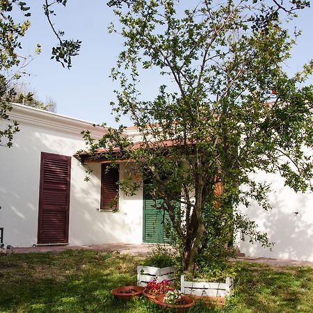 Residence Cort'E Accas Bari Sardo Exterior foto